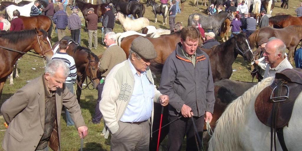 Ballinasloe-horse-fair-03