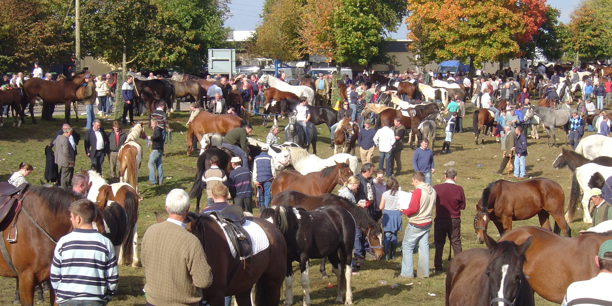 Ballinasloe horse fair 053 Ballinasloe horse fair 053