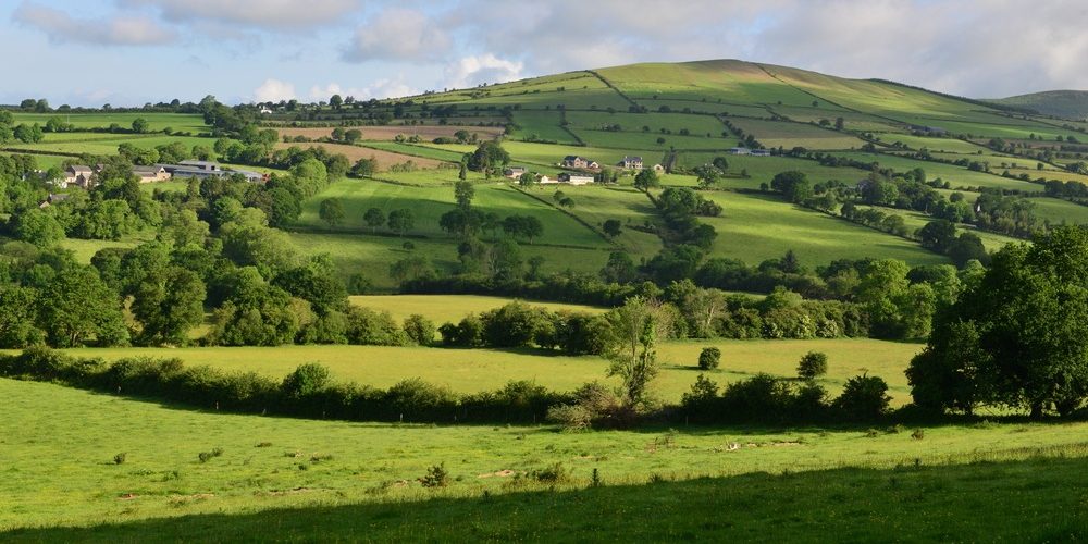The,Irish,Countryside,And,Farmland,In,June.